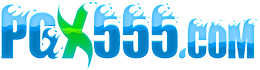 PGX555.COM